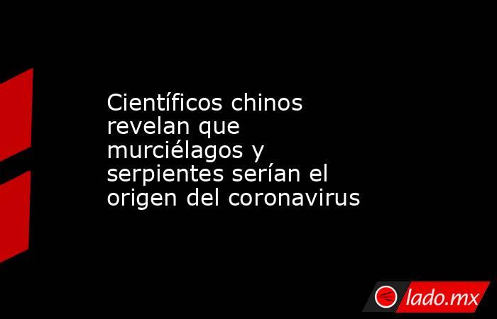 Científicos chinos revelan que murciélagos y serpientes serían el origen del coronavirus. Noticias en tiempo real