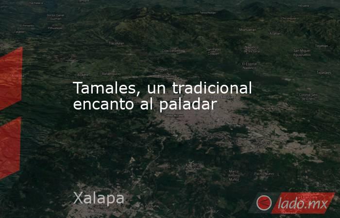 Tamales, un tradicional encanto al paladar. Noticias en tiempo real