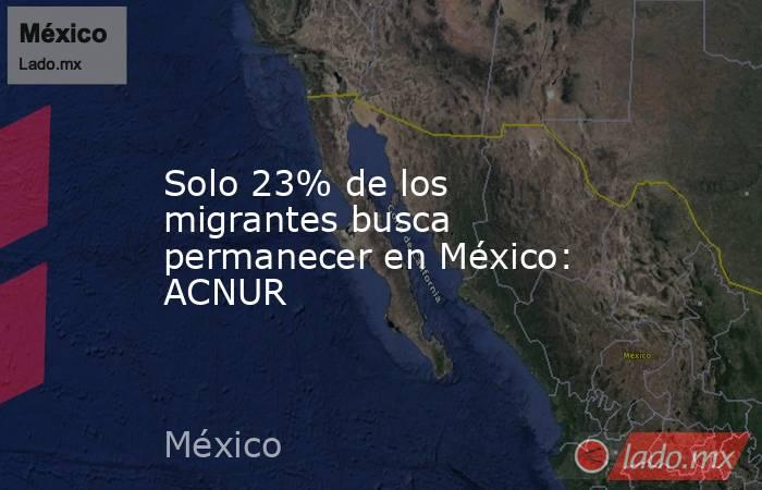 Solo 23% de los migrantes busca permanecer en México: ACNUR. Noticias en tiempo real