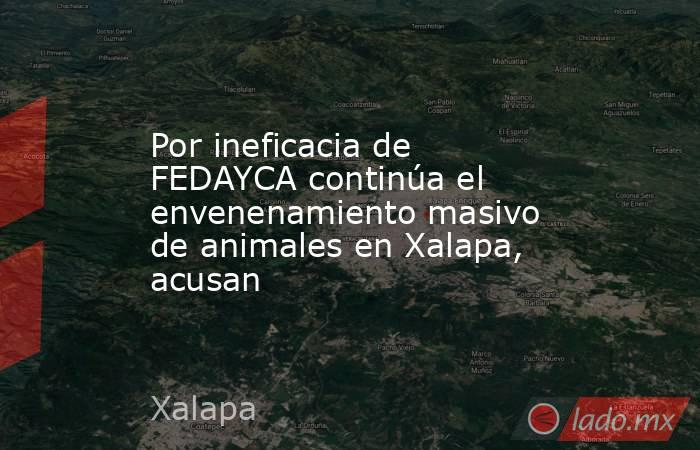 Por ineficacia de FEDAYCA continúa el envenenamiento masivo de animales en Xalapa, acusan. Noticias en tiempo real