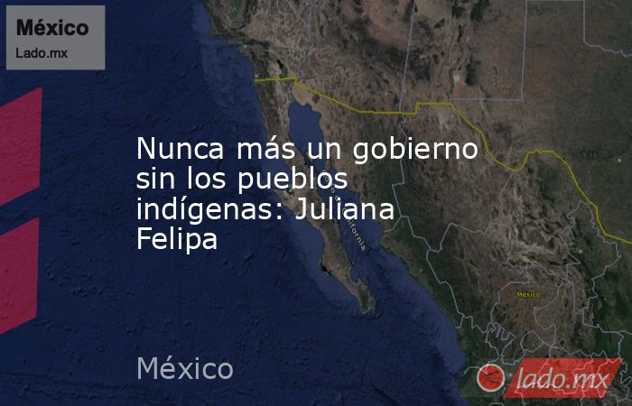Nunca más un gobierno sin los pueblos indígenas: Juliana Felipa. Noticias en tiempo real