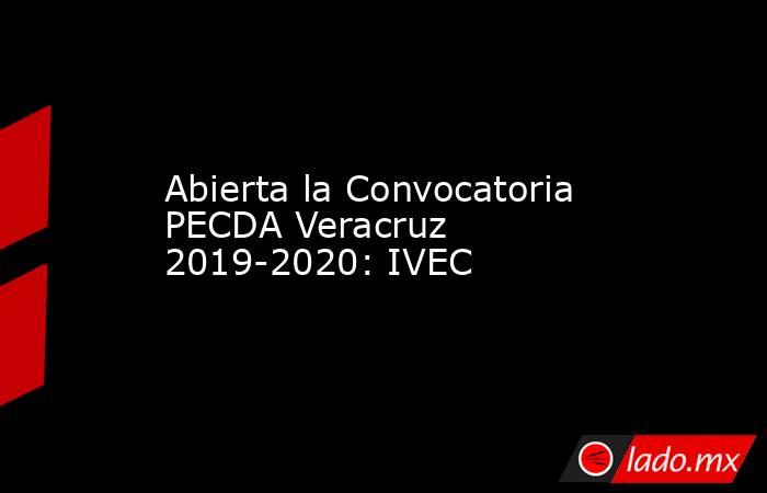 Abierta la Convocatoria PECDA Veracruz 2019-2020: IVEC. Noticias en tiempo real