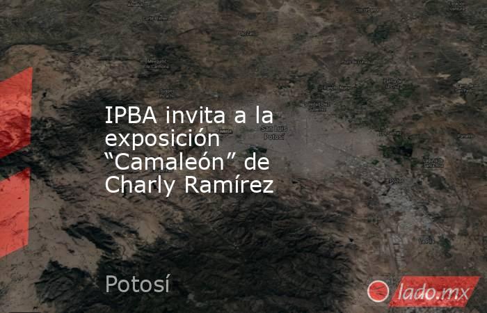 IPBA invita a la exposición “Camaleón” de Charly Ramírez. Noticias en tiempo real
