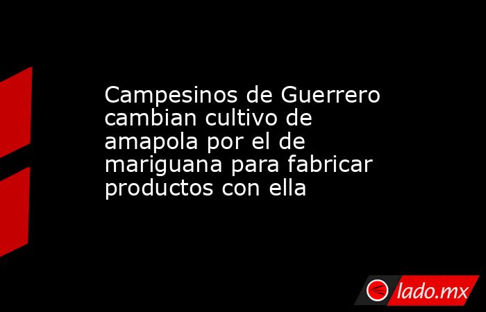 Campesinos de Guerrero cambian cultivo de amapola por el de mariguana para fabricar productos con ella. Noticias en tiempo real