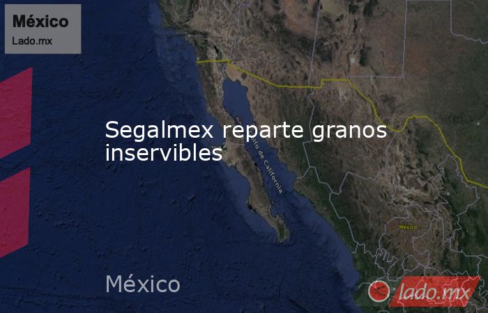Segalmex reparte granos inservibles. Noticias en tiempo real