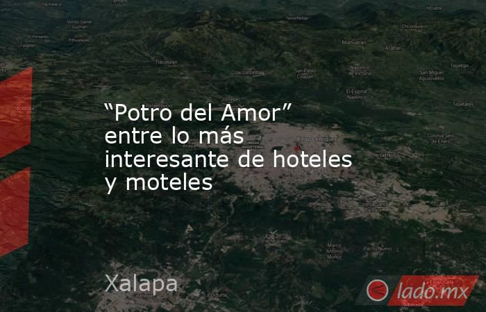 “Potro del Amor” entre lo más interesante de hoteles y moteles. Noticias en tiempo real
