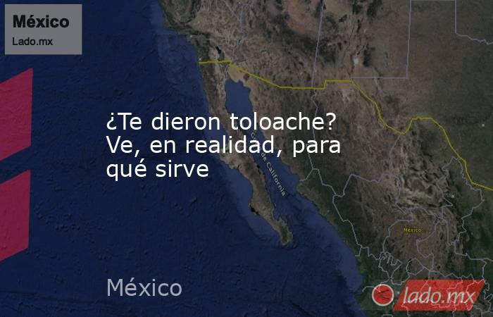 ¿Te dieron toloache? Ve, en realidad, para qué sirve. Noticias en tiempo real