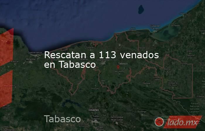 Rescatan a 113 venados en Tabasco. Noticias en tiempo real