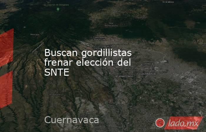 Buscan gordillistas frenar elección del SNTE. Noticias en tiempo real