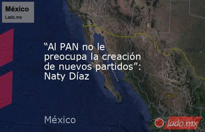 “Al PAN no le preocupa la creación de nuevos partidos”: Naty Díaz. Noticias en tiempo real