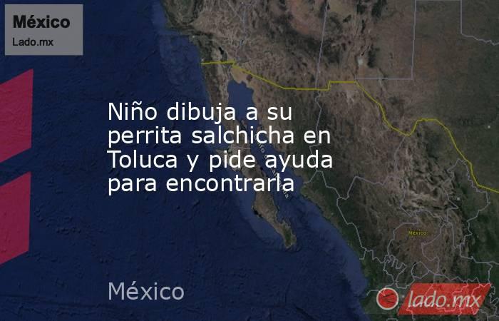 Niño dibuja a su perrita salchicha en Toluca y pide ayuda para encontrarla. Noticias en tiempo real