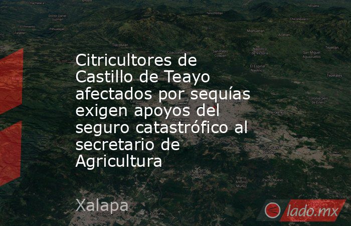 Citricultores de Castillo de Teayo afectados por sequías exigen apoyos del seguro catastrófico al secretario de Agricultura. Noticias en tiempo real