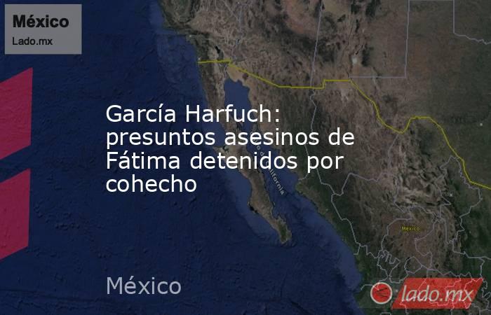García Harfuch: presuntos asesinos de Fátima detenidos por cohecho. Noticias en tiempo real