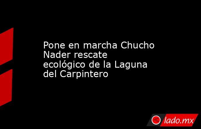 Pone en marcha Chucho Nader rescate ecológico de la Laguna del Carpintero. Noticias en tiempo real