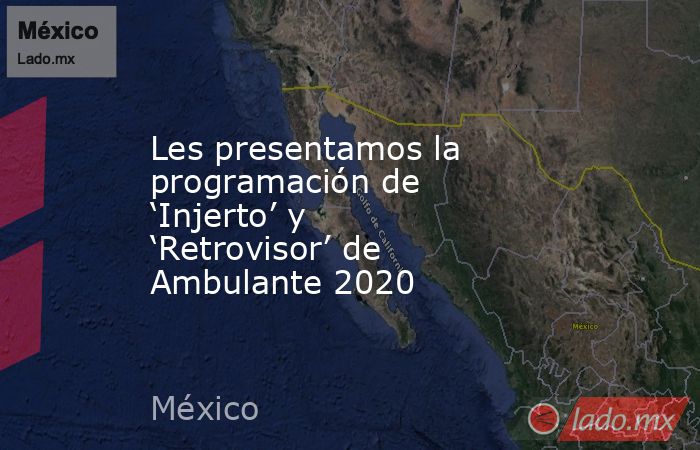 Les presentamos la programación de ‘Injerto’ y ‘Retrovisor’ de Ambulante 2020. Noticias en tiempo real