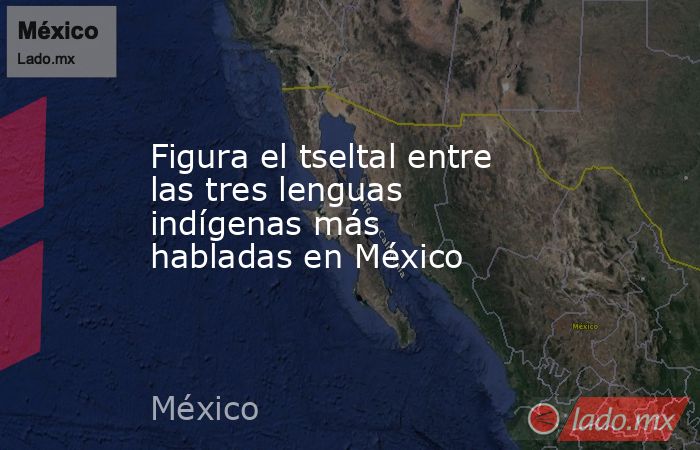 Figura el tseltal entre las tres lenguas indígenas más habladas en México. Noticias en tiempo real