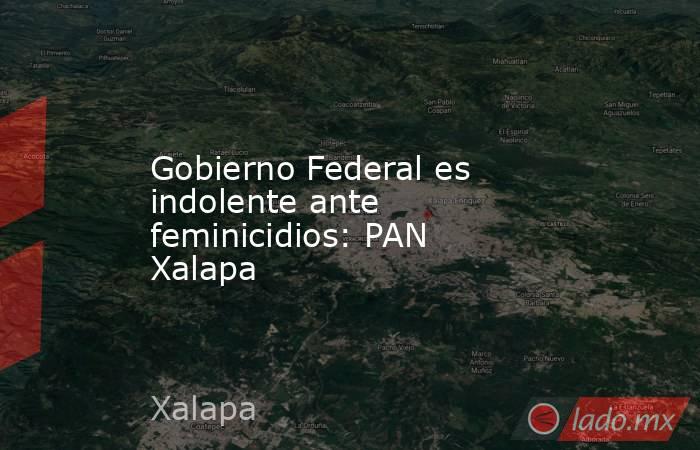 Gobierno Federal es indolente ante feminicidios: PAN Xalapa. Noticias en tiempo real