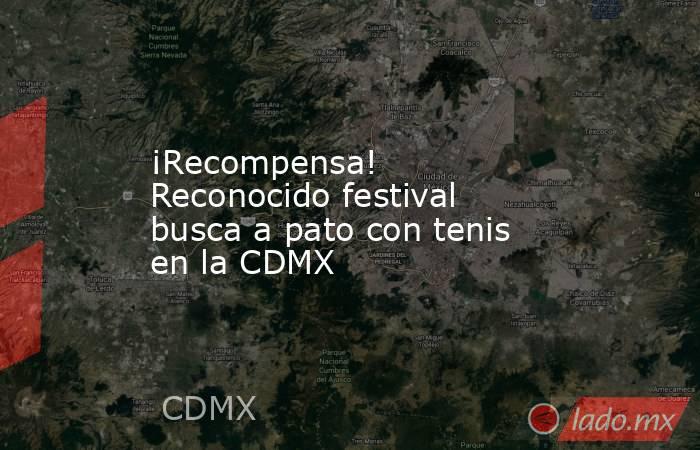 ¡Recompensa! Reconocido festival busca a pato con tenis en la CDMX. Noticias en tiempo real