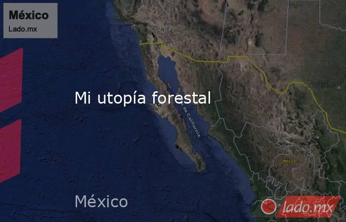 Mi utopía forestal. Noticias en tiempo real