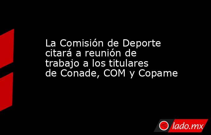 La Comisión de Deporte citará a reunión de trabajo a los titulares de Conade, COM y Copame. Noticias en tiempo real