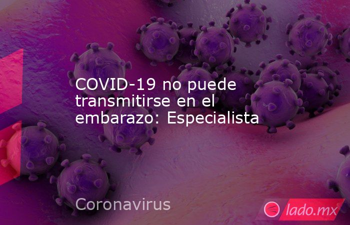 COVID-19 no puede transmitirse en el embarazo: Especialista. Noticias en tiempo real
