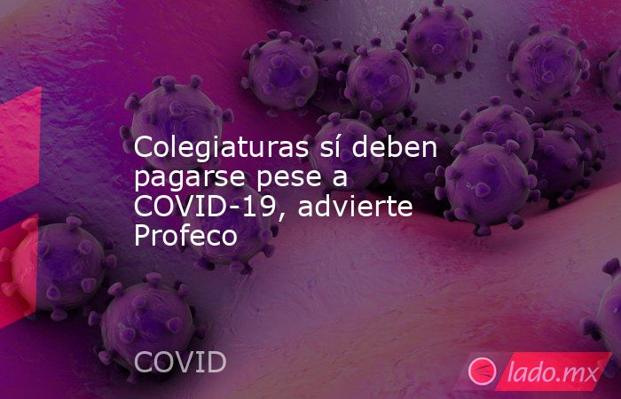 Colegiaturas sí deben pagarse pese a COVID-19, advierte Profeco. Noticias en tiempo real