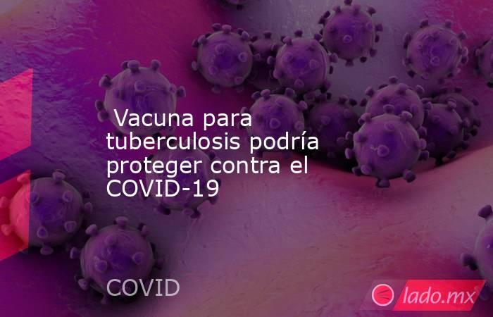  Vacuna para tuberculosis podría proteger contra el COVID-19. Noticias en tiempo real