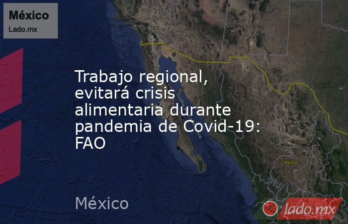 Trabajo regional, evitará crisis alimentaria durante pandemia de Covid-19: FAO. Noticias en tiempo real