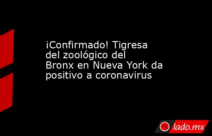 ¡Confirmado! Tigresa del zoológico del Bronx en Nueva York da positivo a coronavirus. Noticias en tiempo real