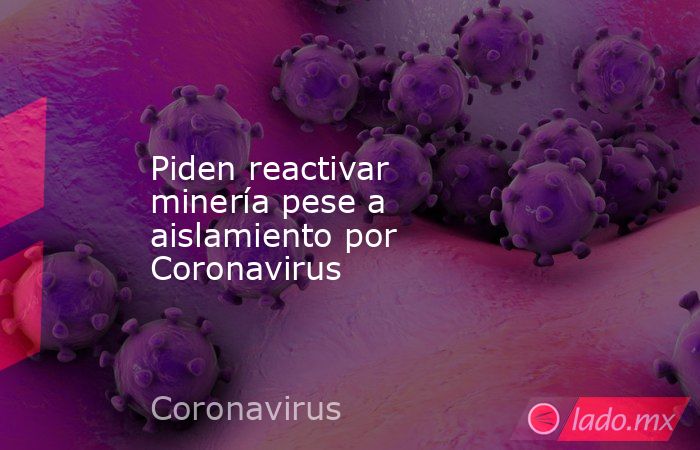 Piden reactivar minería pese a aislamiento por Coronavirus. Noticias en tiempo real