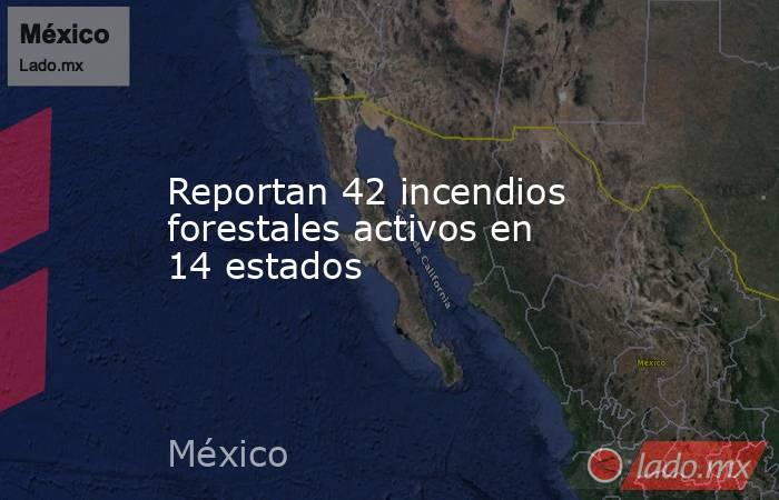 Reportan 42 incendios forestales activos en 14 estados. Noticias en tiempo real