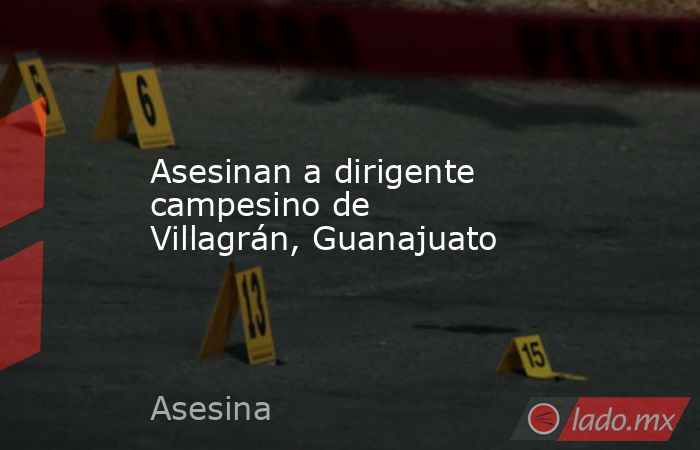 Asesinan a dirigente campesino de Villagrán, Guanajuato. Noticias en tiempo real