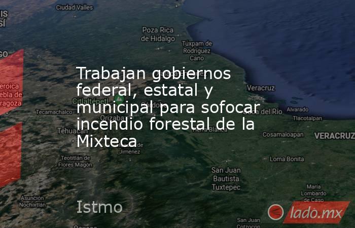 Trabajan gobiernos federal, estatal y municipal para sofocar incendio forestal de la Mixteca. Noticias en tiempo real