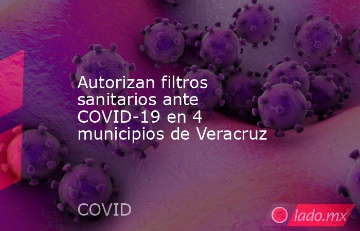 Autorizan filtros sanitarios ante COVID-19 en 4 municipios de Veracruz. Noticias en tiempo real