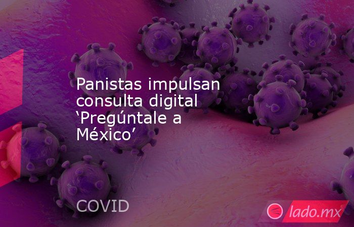 Panistas impulsan consulta digital ‘Pregúntale a México’. Noticias en tiempo real