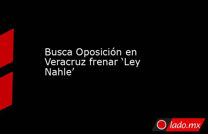 Busca Oposición en Veracruz frenar ‘Ley Nahle’. Noticias en tiempo real