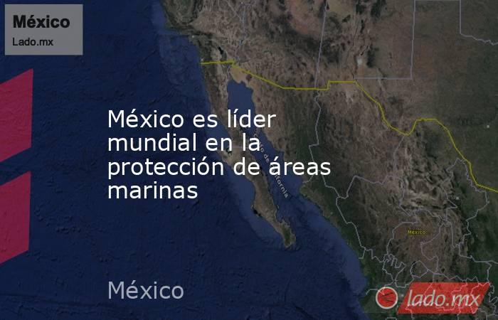 México es líder mundial en la protección de áreas marinas. Noticias en tiempo real