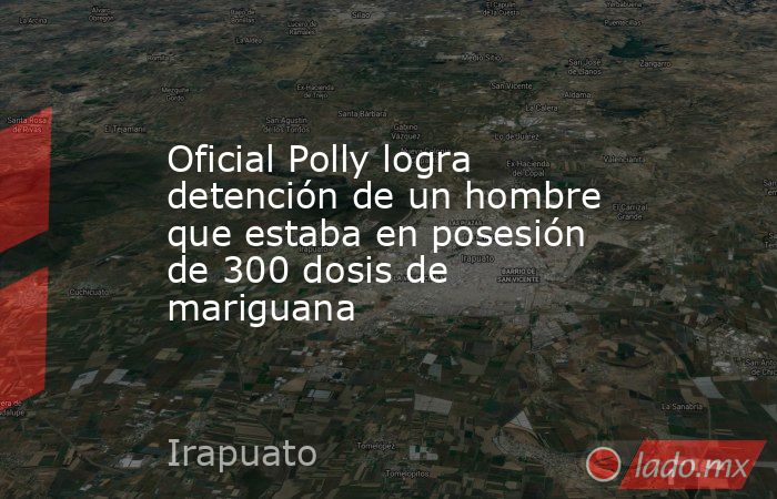 Oficial Polly logra detención de un hombre que estaba en posesión de 300 dosis de mariguana. Noticias en tiempo real