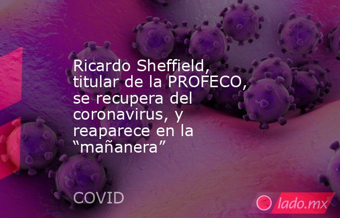 Ricardo Sheffield, titular de la PROFECO, se recupera del coronavirus, y reaparece en la “mañanera”. Noticias en tiempo real