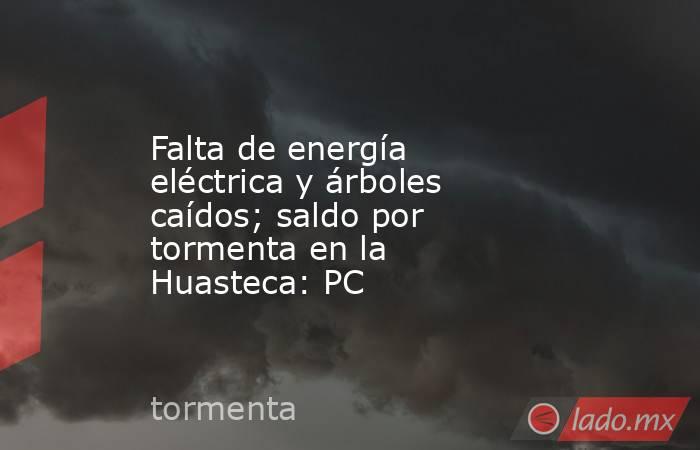 Falta de energía eléctrica y árboles caídos; saldo por tormenta en la Huasteca: PC. Noticias en tiempo real