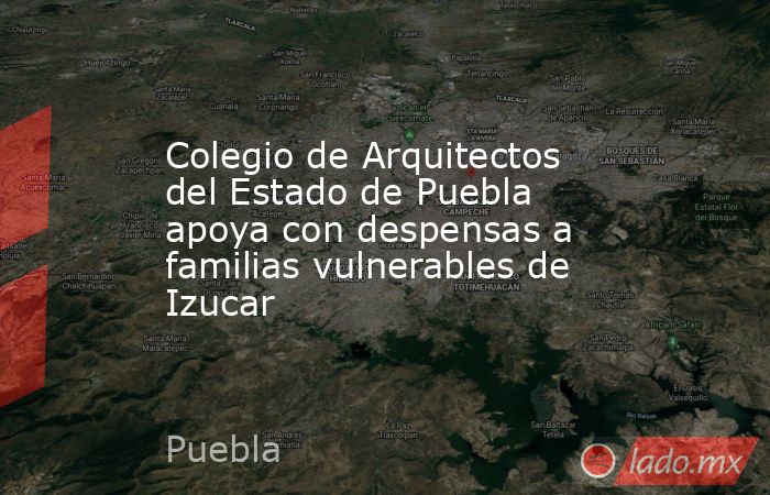 Colegio de Arquitectos del Estado de Puebla apoya con despensas a familias vulnerables de Izucar. Noticias en tiempo real