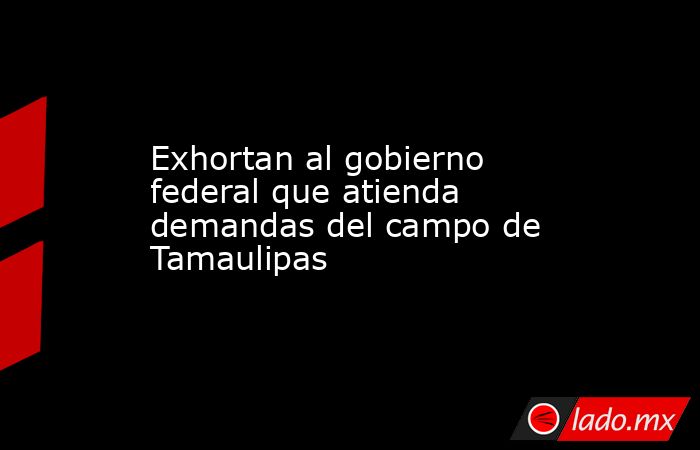 Exhortan al gobierno federal que atienda demandas del campo de Tamaulipas. Noticias en tiempo real