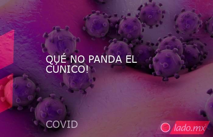 QUÉ NO PANDA EL CÚNICO!. Noticias en tiempo real