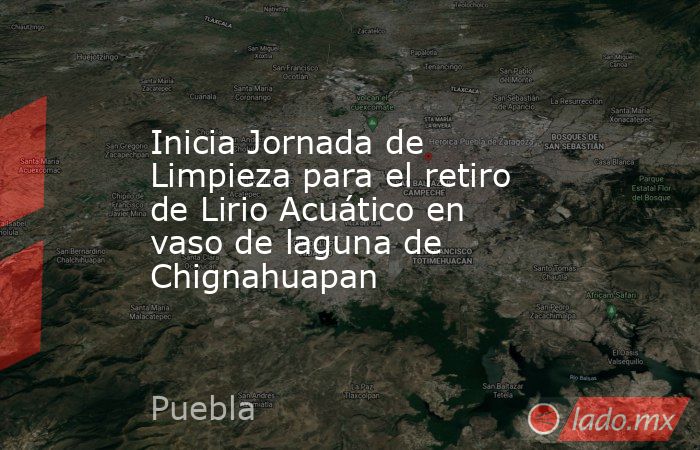 Inicia Jornada de Limpieza para el retiro de Lirio Acuático en vaso de laguna de Chignahuapan. Noticias en tiempo real