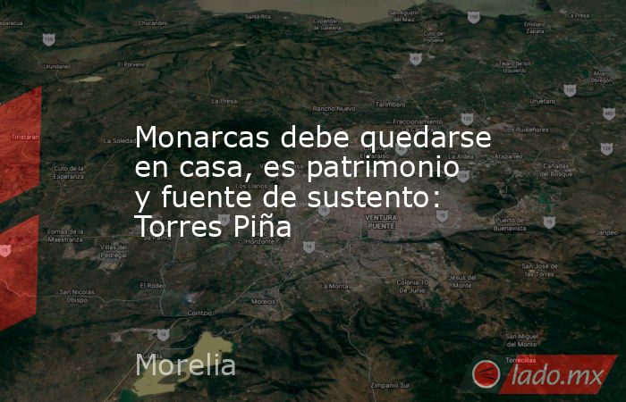 Monarcas debe quedarse en casa, es patrimonio y fuente de sustento: Torres Piña. Noticias en tiempo real