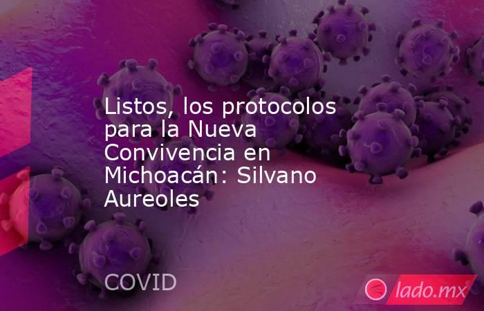 Listos, los protocolos para la Nueva Convivencia en Michoacán: Silvano Aureoles. Noticias en tiempo real