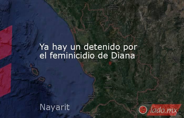 Ya hay un detenido por el feminicidio de Diana. Noticias en tiempo real