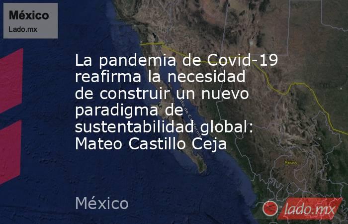 La pandemia de Covid-19 reafirma la necesidad de construir un nuevo paradigma de sustentabilidad global: Mateo Castillo Ceja. Noticias en tiempo real