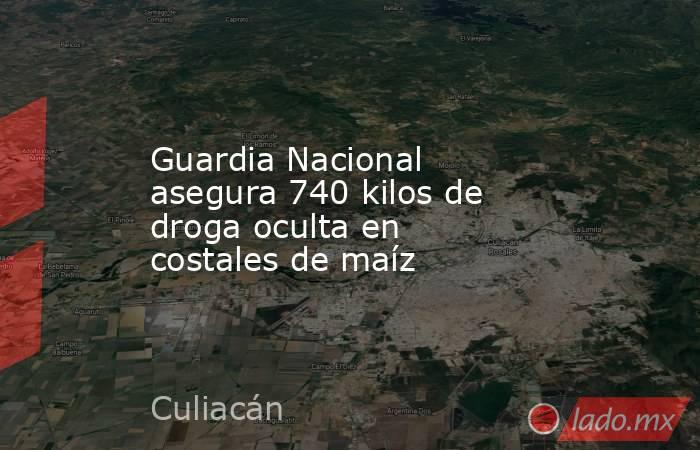 Guardia Nacional asegura 740 kilos de droga oculta en costales de maíz. Noticias en tiempo real