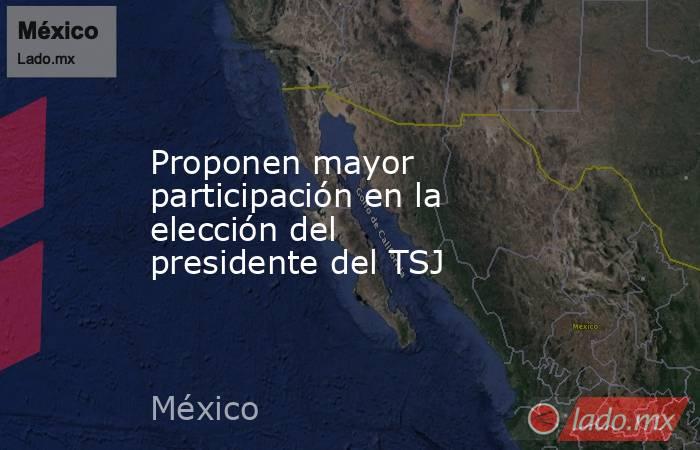 Proponen mayor participación en la elección del presidente del TSJ. Noticias en tiempo real